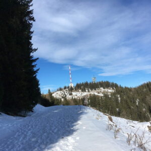 Winterwanderrunde auf den Sonnwendstein