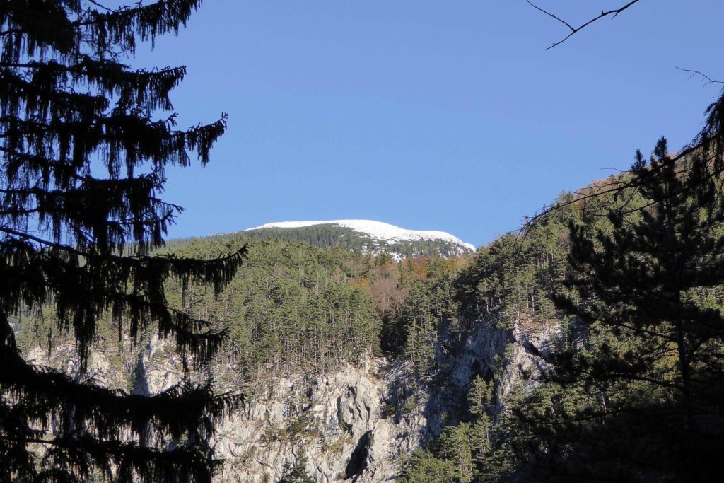 Fast den gesamten Aufstieg über hat man einen schönen Ausblick auf Schneeberg und Rax. Nach oben hin wird der immer besser.