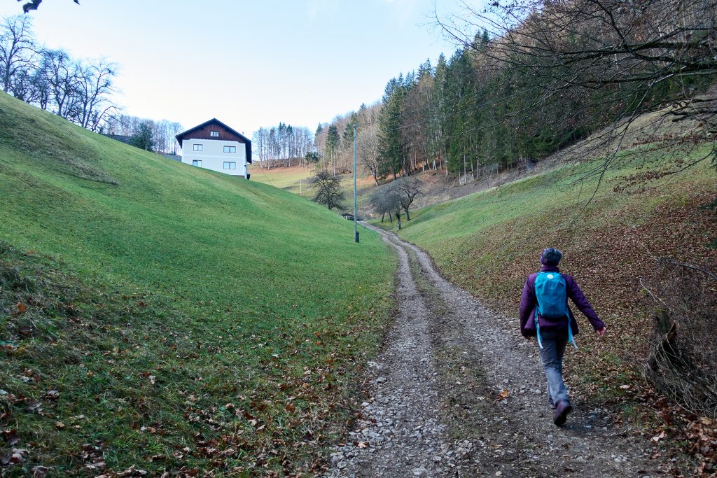 Weg zum Breitenauer, vorbei am Bergerbauern, Foto Martin Heppner