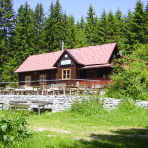29 Zur Johann-Waller-Hütte am Schöckl