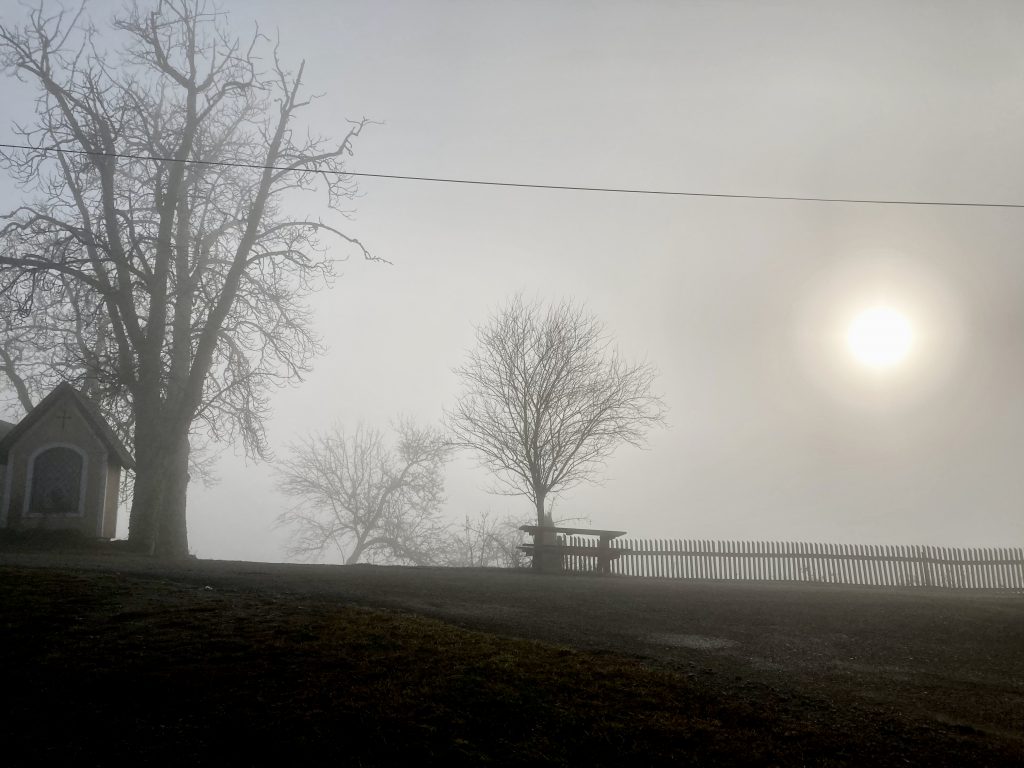 Sonne hinter Nebelvorhang. Foto: Stefan Hochhold