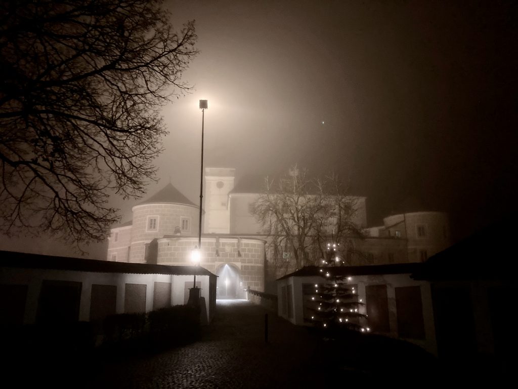 Schloss Weinberg mit Christbaum bei Nacht und Nebel. Foto: Stefan Hochhold