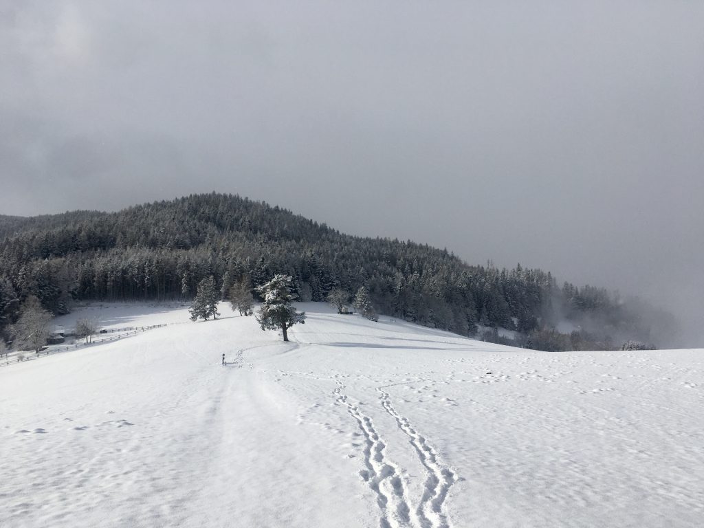 Winterlich ist es auf der Stojer Höhe. Foto Veronika Schöll