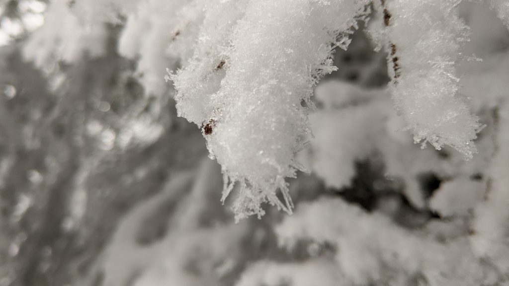 Schneeflocken Foto Martin Heppner