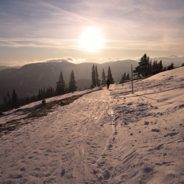 Sonne am Gipfel des Tirolerkogel. Foto: Petra Jens
