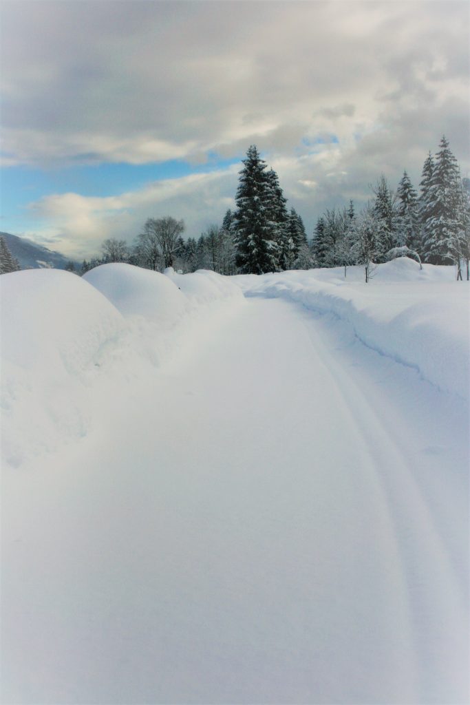Winterlandschaft 1. Foto: Birgit Frank