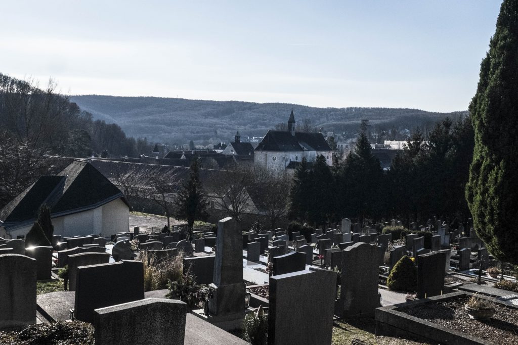 Blick vom Friedhof auf die Kartause. Foto: Birgit Reiter