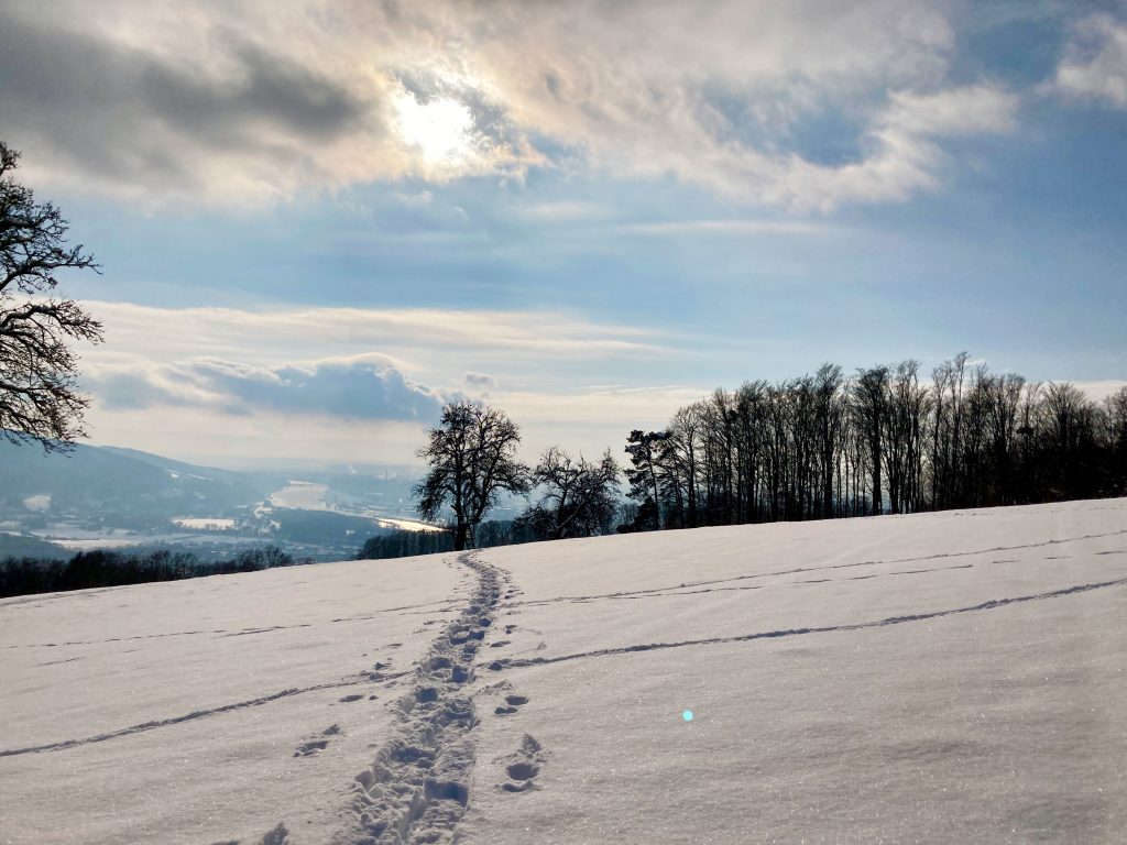 Schneeschuh-Mäandern mit Blick aufs Donau-Mäandern beim Winter-Wandern. Foto: Stefan Hochhold