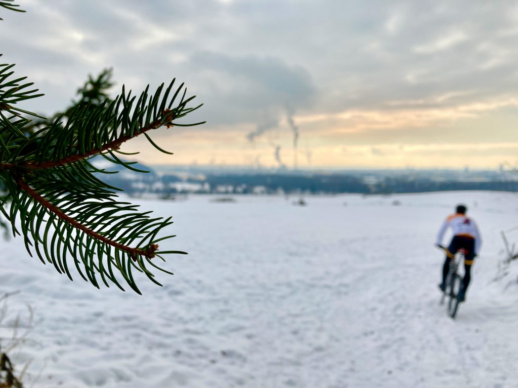 Winterradler. Foto: Stefan Hochhold