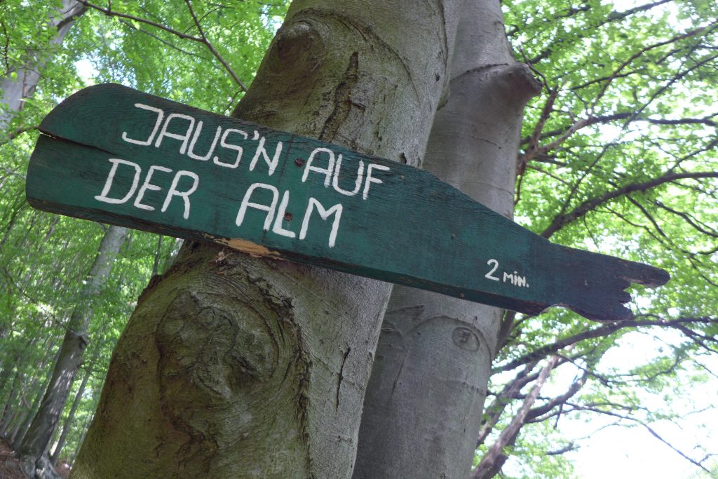 Zwischen Troppberg und dem Wienerwaldhof. Foto: Alpenverein Edelweiss