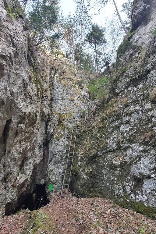 Lange Leiter, Höhle und geschafft. Foto Veronika Schöll