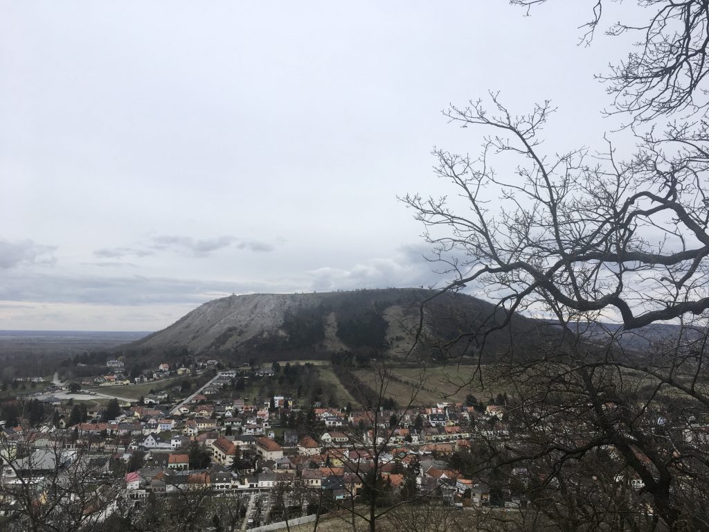 So sieht der Braunsberg vom Schlossberg aus gesehen, meinem nächsten Ziel, aus. Foto Veronika Schöll