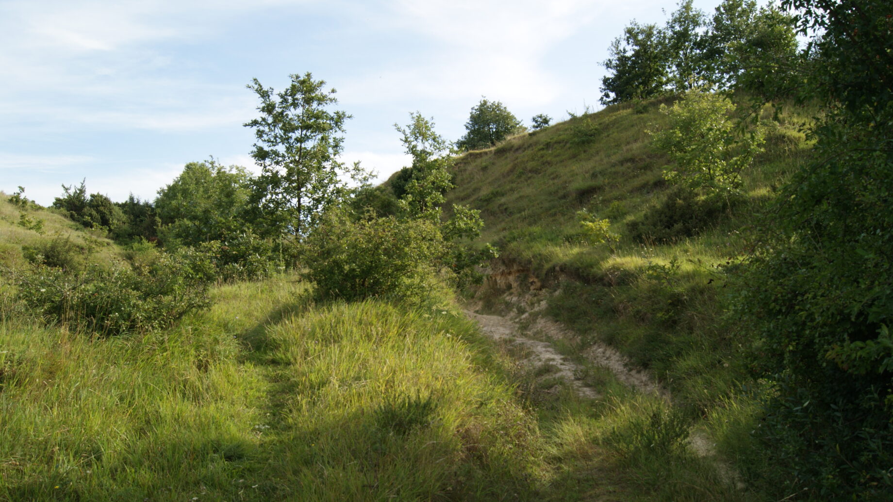 Natura Trail Etappe 2. Foto: Naturfreunde Österreich