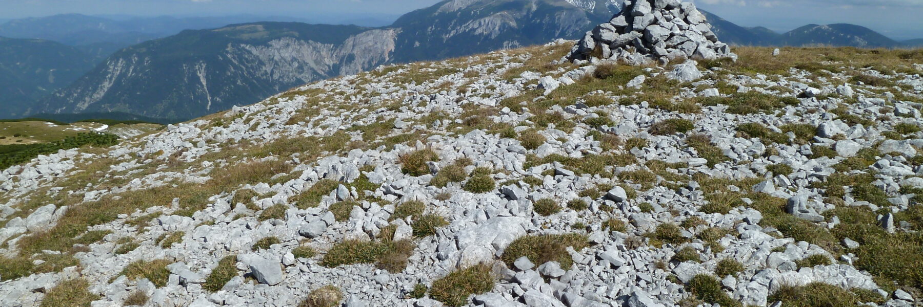 Auf der Scheibwaldhöhe, im Hintergrund der Schneeberg. Foto: Alpenverein Edelweiss