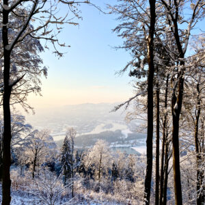 Schnee-Juchee am Pfenningberg