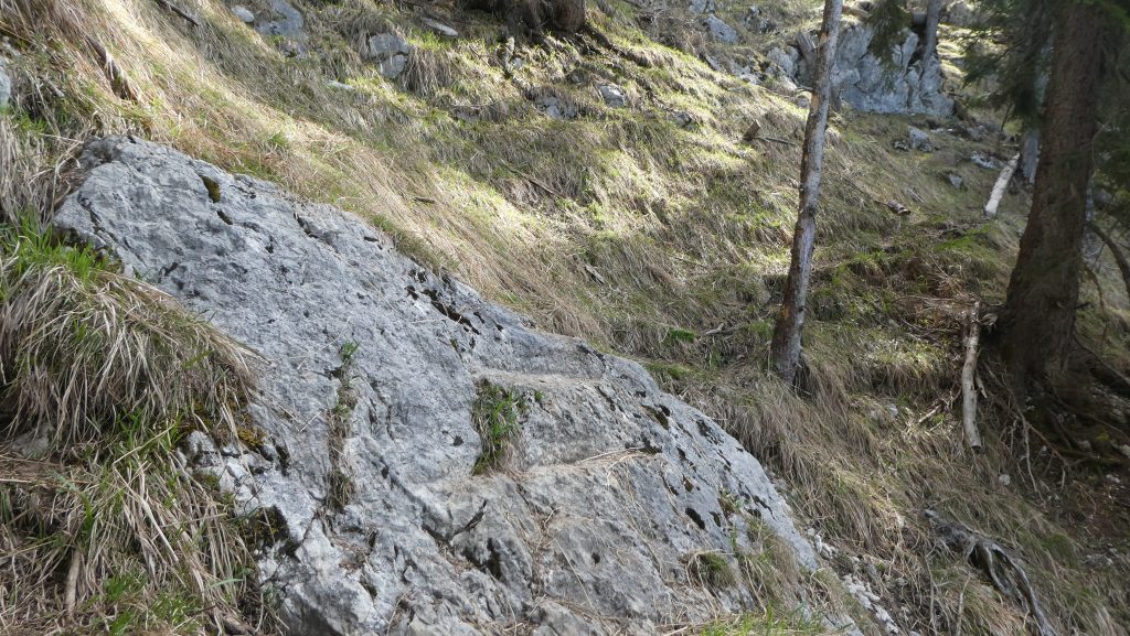 In den Fels geschlagene Stufen am Weg über die Fadererschneid. Foto: Karl Plohovich