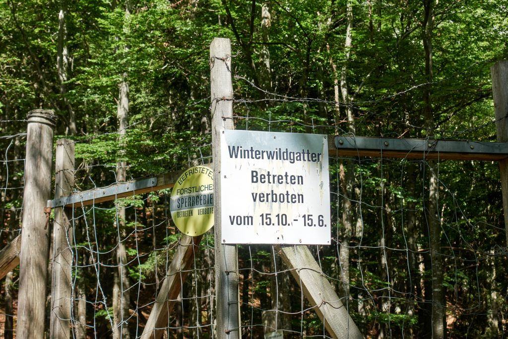 Wildwintergatter Pribitz offen Mitte Juni bis Mitte Oktober. Foto: Martin Heppner