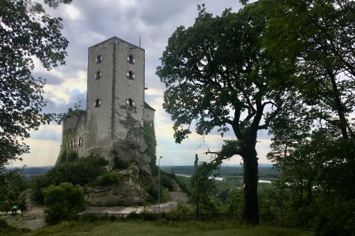 Am Weg zur Burg Greifenstein, Fotos: Veronika Schöll