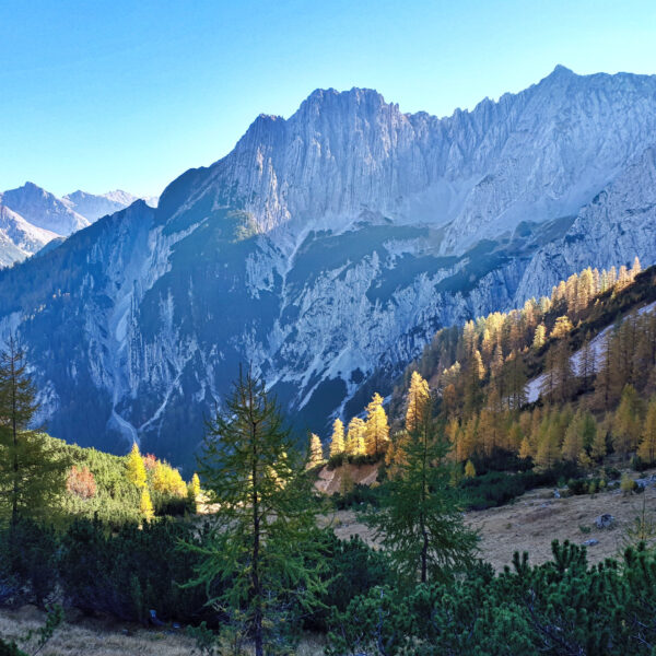 Goldener Herbst im Karwendel. Foto: Konrad Gwiggner