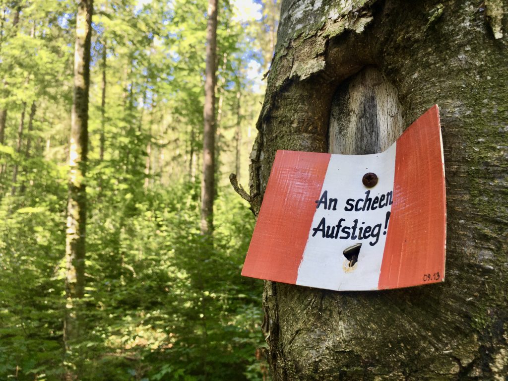 Teils kreative Sprüche – getextet vom Alpenverein Wels – leiten den Weg auf den Zwillingskogel. Foto: Stefan Hochhold