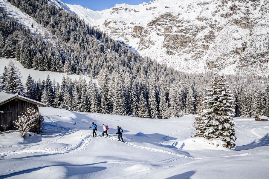 Über verschneite Wiesen vorbei an den Almen. Foto: Tourismusverband Wipptal