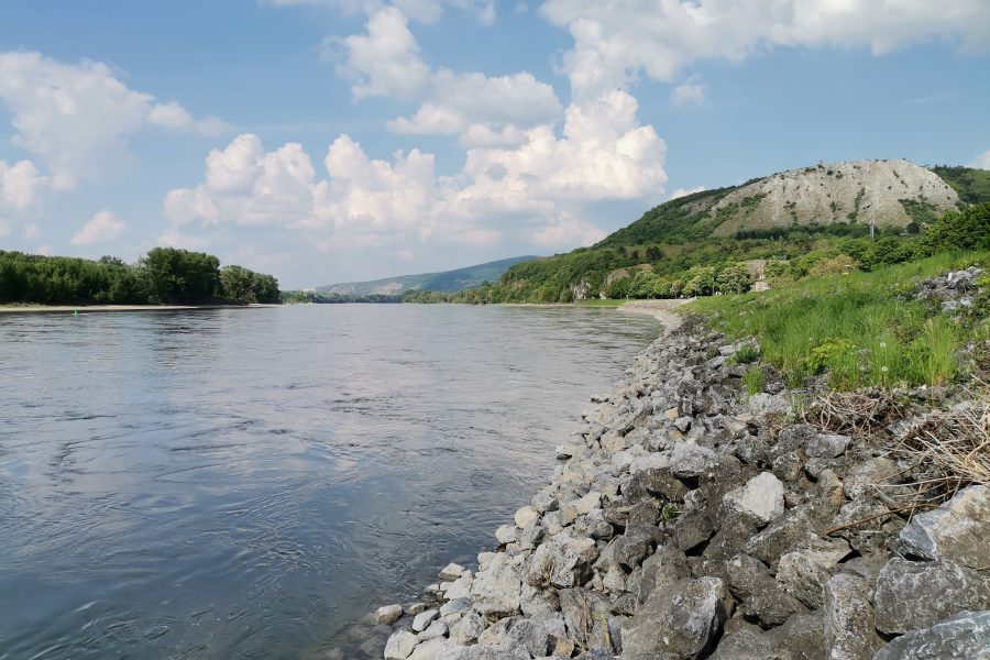 An den Gestaden der Donau, im Blick den Braunsberg. Foto Veronika Schöll