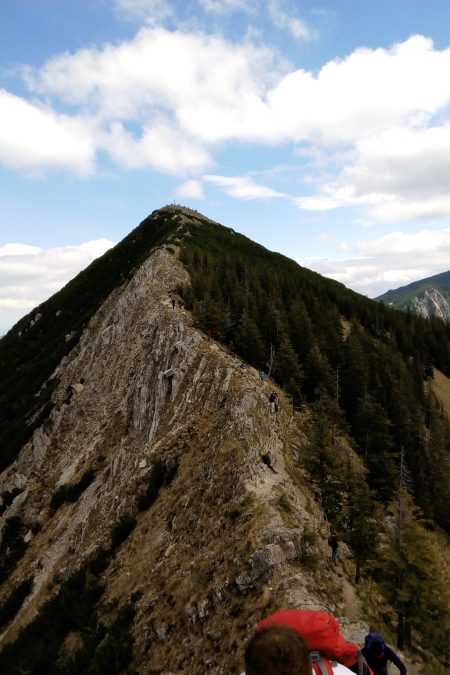 Variante Gratwanderung – Blick zurück zum Gipfel. Foto: Nikolaus Vogl