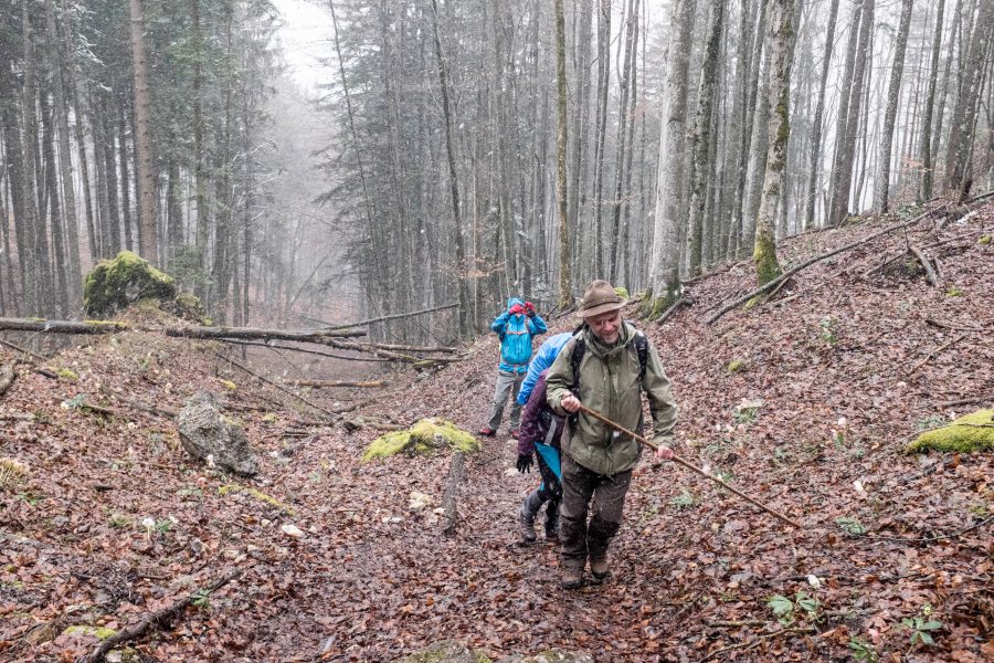 Aufstieg im Wald mit Thomas Gerl. Foto: Veronika Schöll