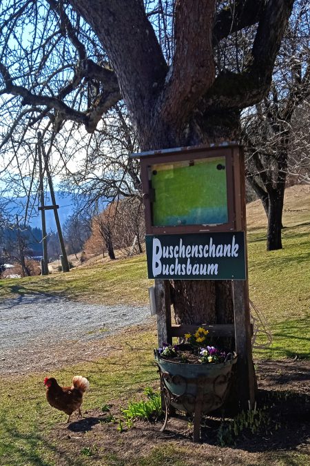 Buschenschank Buchsbaum. Foto: Birgit Frank
