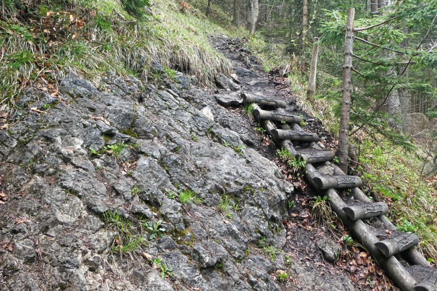 Treppe am Weg zum Gaisberggipfel. Foto: Karl Plohovich