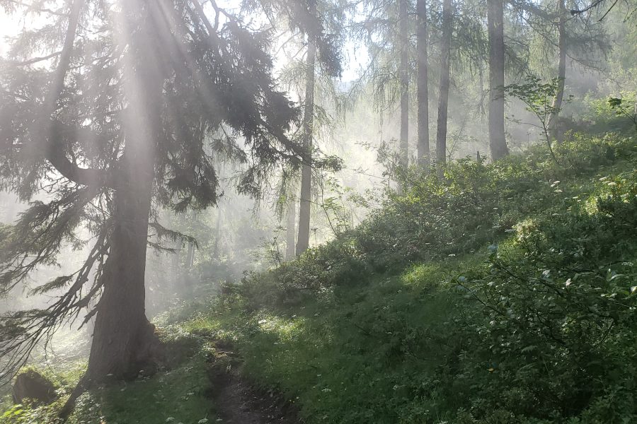 Der Nebel lichtet sich. Foto Alpenverein Saalfelden