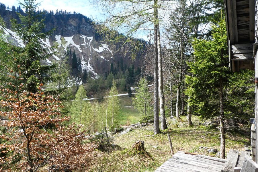 Jagdhütte Grünaualm. Foto: Karl Plohovich