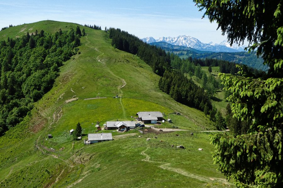 Blick zur Loibersbacher Höhe. Foto: Karl Plohovich