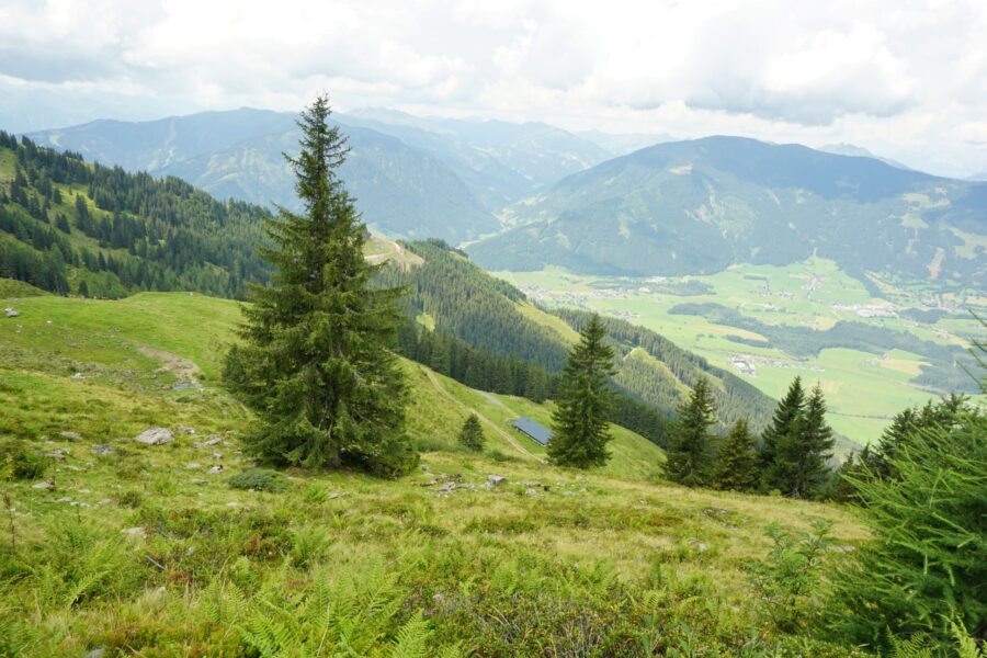 Abstieg Richtung Gerling. Foto Alpenverein Saalfelden