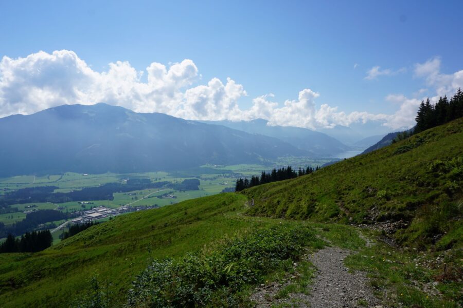 Am Almboden unterhalb der Örgenbauernalm. Foto Alpenverein Saalfelden