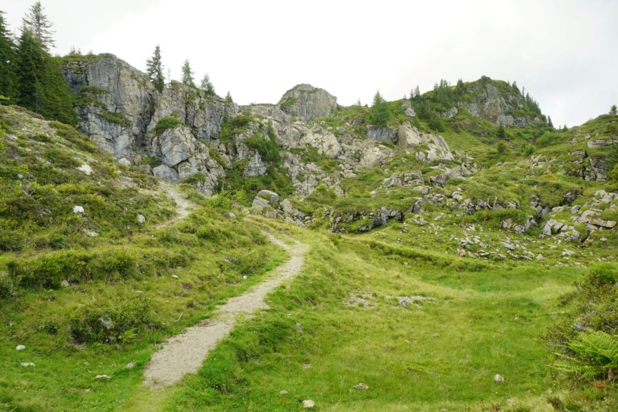 Aufstiegsweg zur Schwalbenwand. Foto Alpenverein Saalfelden