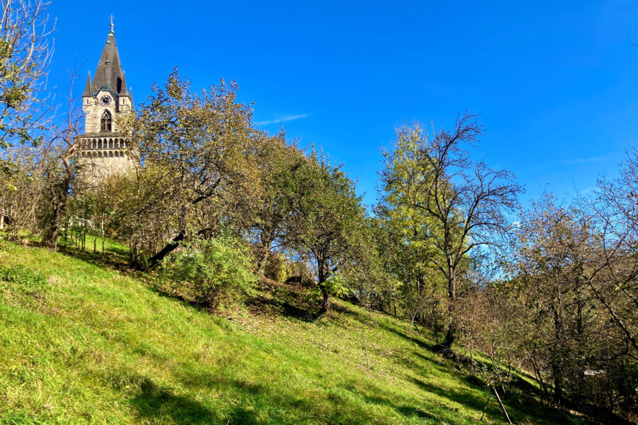 Der Kirchturm von Haslach: Göttlich gotisch. Foto: Stefan Hochhold