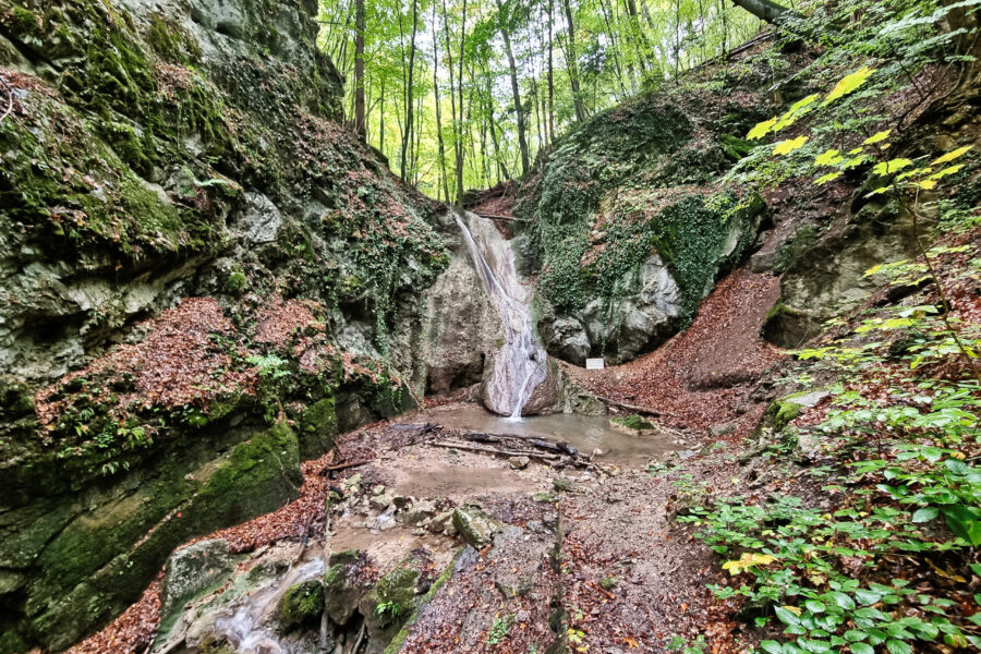 Wasserfall Dürnbach. Foto: Martin Heppner
