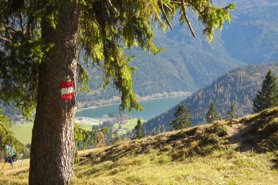 Gemütlicher Abstieg mit Ausblick auf den Achensee, Foto Naturpark Karwendel