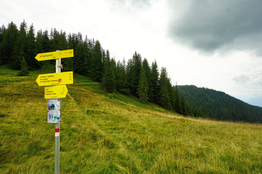Abzweigung Richtung Sausteigen. Foto: Alpenverein Saalfelden