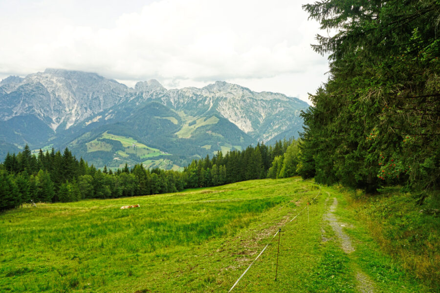 Wanderweg unterhalb des Huggenbergs. Foto: Alpenverein Saalfelden