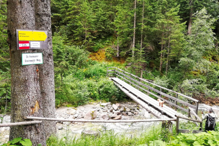 Die Brücke führt weg vom Forstweg auf ein liebes Waldwegerl. Foto: Sarah Stainer