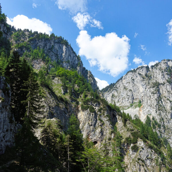 Spektakuläre Ausblicke ins hinterste Große Höllental. Foto: Alpenverein Edelweiss
