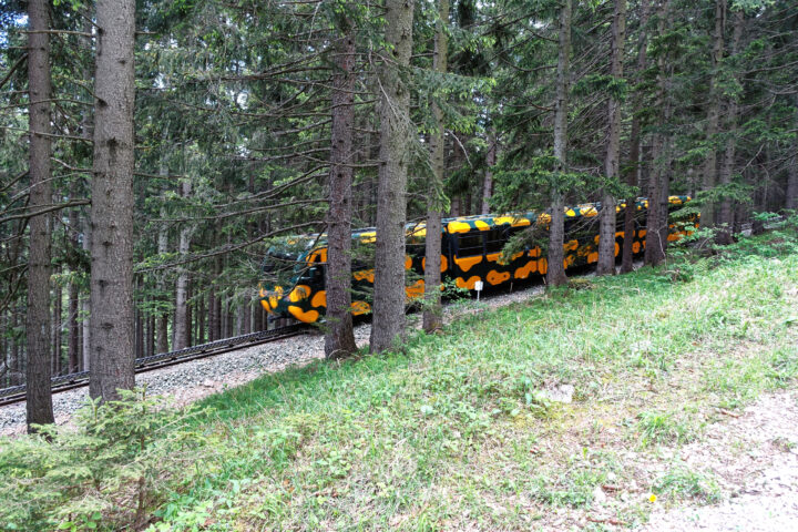 Auf dem Zahnradbahnweg. Foto: Alpenverein Edelweiss