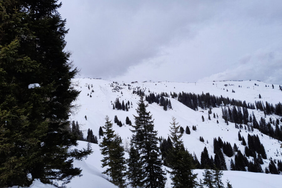 Das Skigebiet Wildschönau kann man im Aufstieg ebenfalls betrachten. Foto: Protect Our Winters Austria (POW AT)