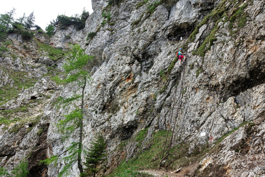 Die steile Leiter bei der Elsarast. Foto: Alpenverein Edelweiss
