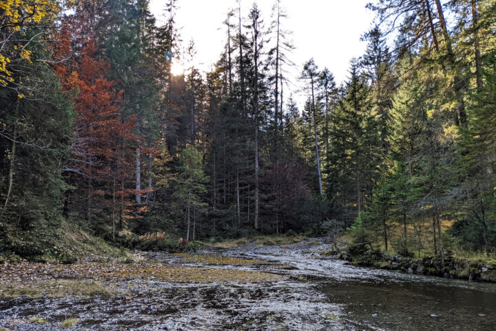 Was für ein schöner Anblick, die vielen Wasserströme bahnen sich ihren Weg, um gemeinsam zu einem nicht zu kleinen Bach zu werden 1! Foto: Protect Our Winters Austria (POW AT)