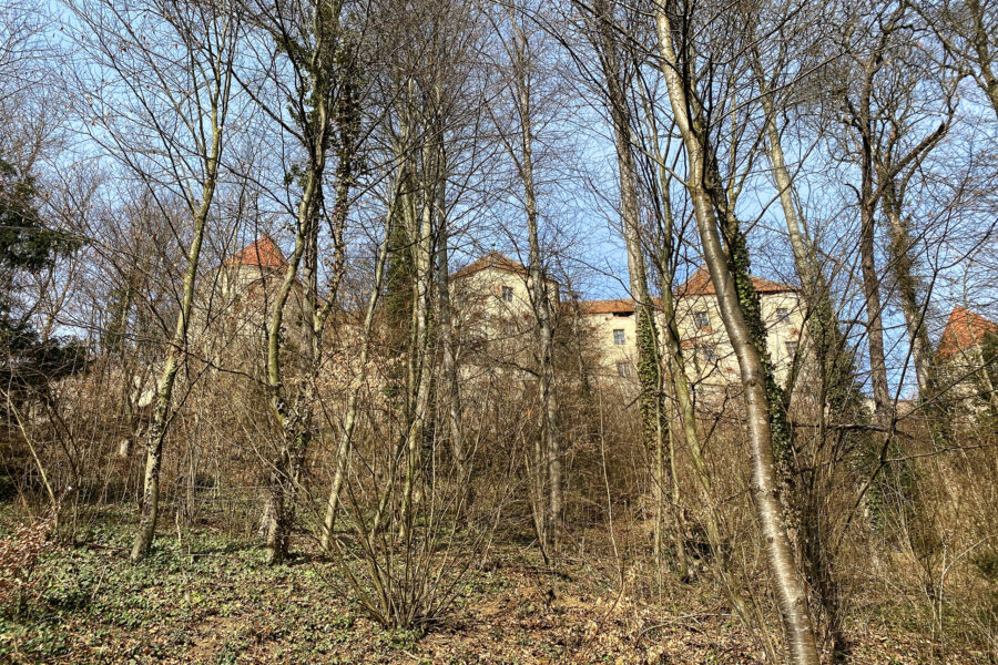 Burg Neulengbach. Foto: Elke Kellner