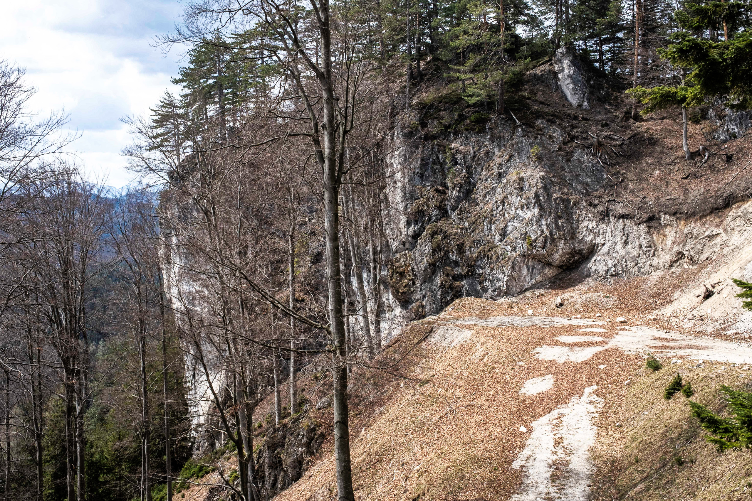 Imposante Felswand vor dem steilen Abstieg ins Radersbachtal. Foto: Birgit Reiter