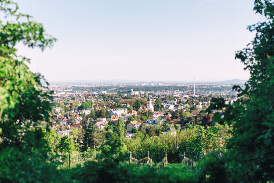 Blick über Wien. Foto: Inna Kravchenko
